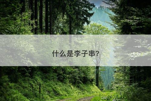 什么是李子串？-图1