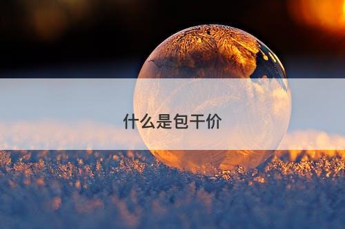 什么是包干价-图1