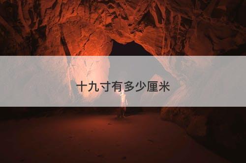 十九寸有多少厘米-图1