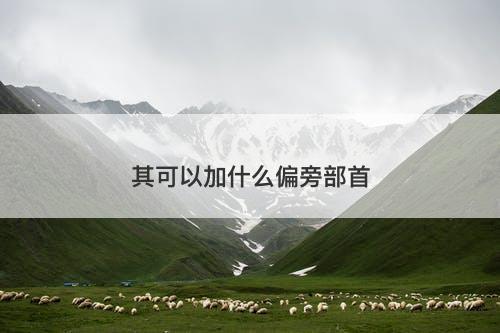其可以加什么偏旁部首-图1