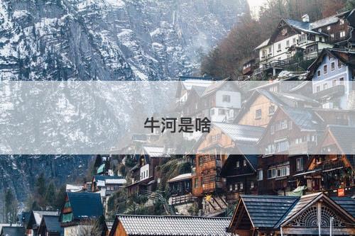 牛河是啥-图1