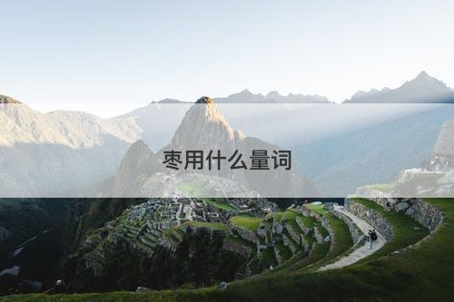 枣用什么量词-图1