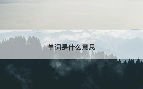 单词是什么意思-图1