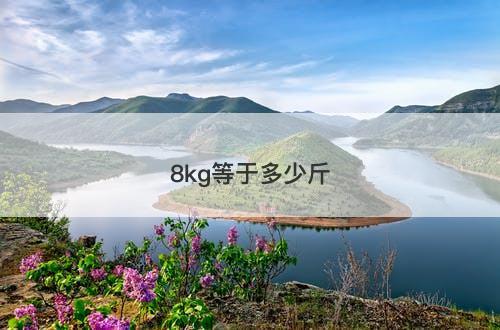 8kg等于多少斤-图1