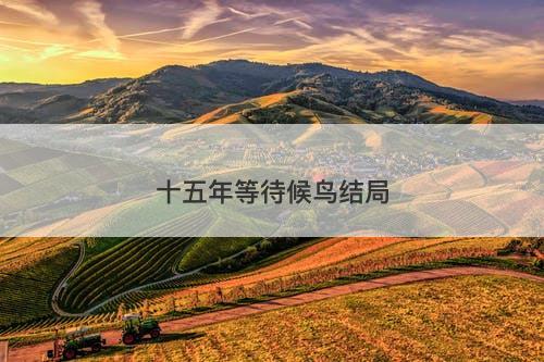 十五年等待候鸟结局-图1 十五年等待候鸟结局-图1