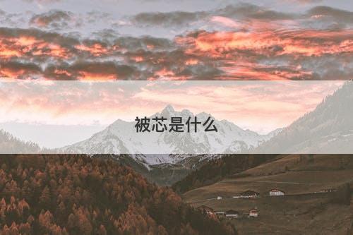 被芯是什么-图1 被芯是什么-图1