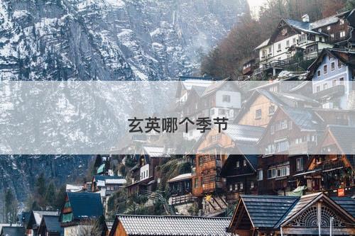 玄英哪个季节-图1