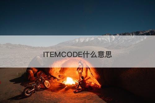 ITEMCODE什么意思-图1