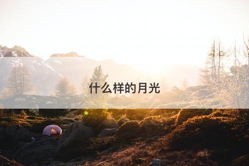 什么样的月光-图1 什么样的月光-图1