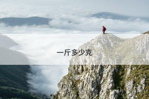 一斤多少克-图1