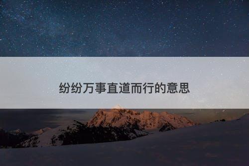 纷纷万事直道而行的意思-图1