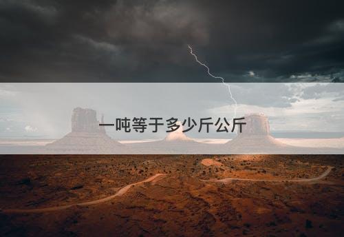 一吨等于多少斤公斤-图1 一吨等于多少斤公斤-图1