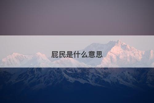 屁民是什么意思-图1