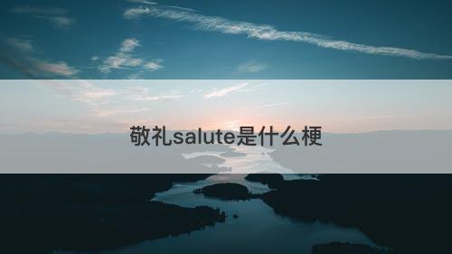 敬礼salute是什么梗-图1 敬礼salute是什么梗-图1