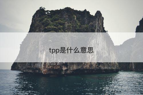tpp是什么意思-图1