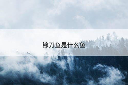 镰刀鱼是什么鱼-图1