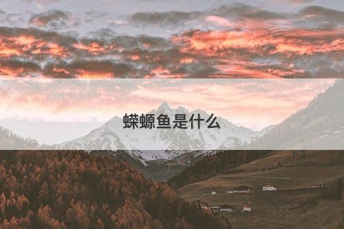 蝾螈鱼是什么-图1