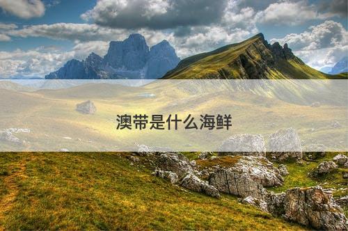 澳带是什么海鲜-图1