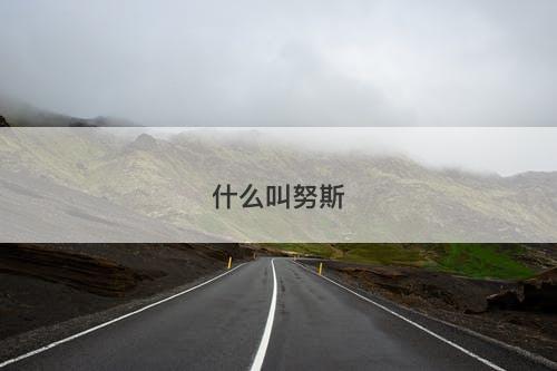 什么叫努斯-图1 什么叫努斯-图1