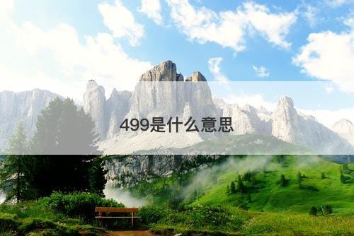 499是什么意思-图1