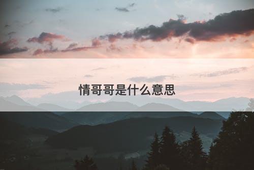 情哥哥是什么意思-图1