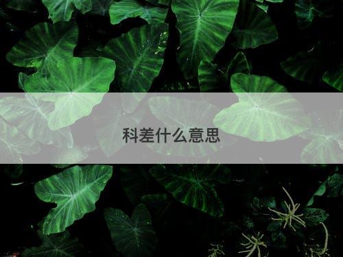 科差什么意思-图1