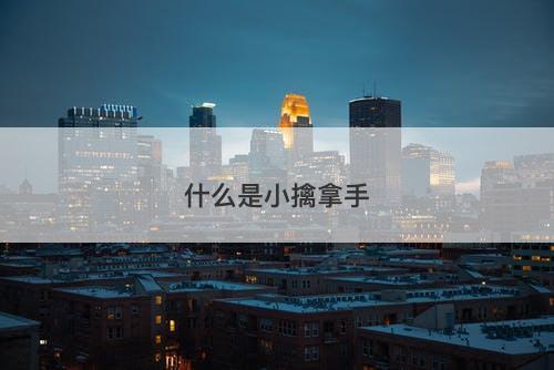 什么是小擒拿手-图1