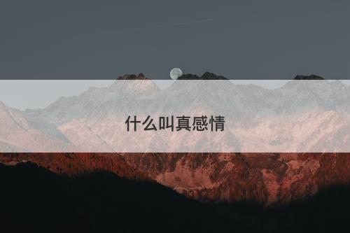 什么叫真感情-图1