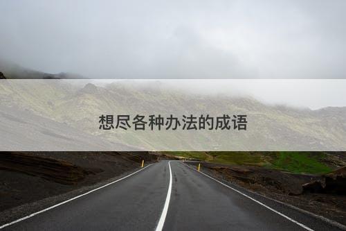 想尽各种办法的成语-图1