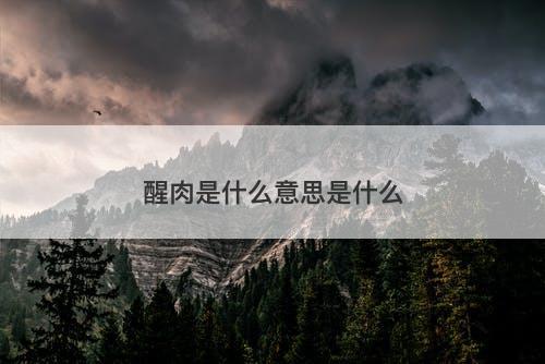 醒肉是什么意思是什么-图1