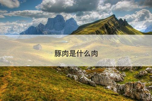 豚肉是什么肉-图1 豚肉是什么肉-图1