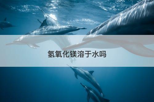 氢氧化镁溶于水吗-图1