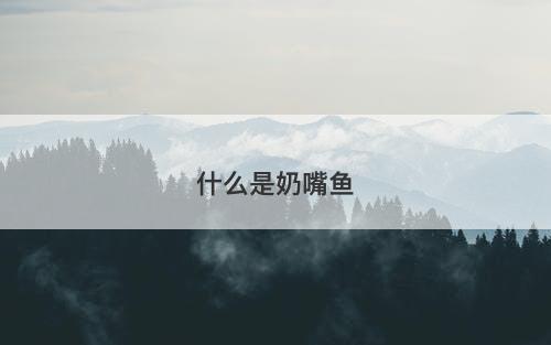 什么是奶嘴鱼-图1