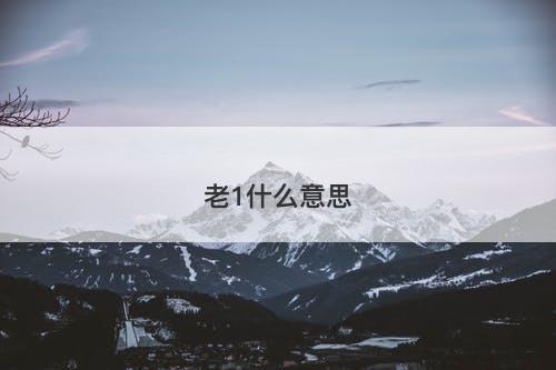 老1什么意思-图1