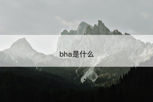 bha是什么-图1 bha是什么-图1