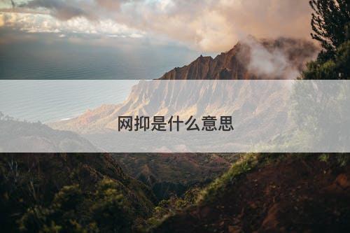 网抑是什么意思-图1