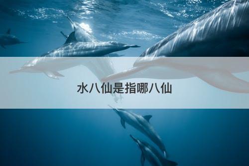 水八仙是指哪八仙-图1 水八仙是指哪八仙-图1