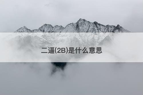 二逼(2B)是什么意思-图1