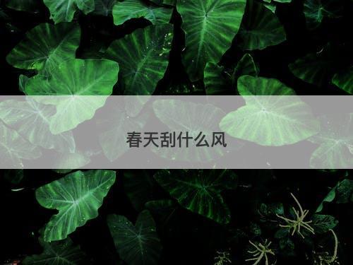 春天刮什么风-图1