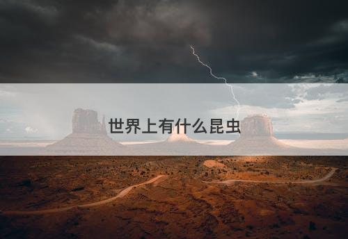 世界上有什么昆虫-图1