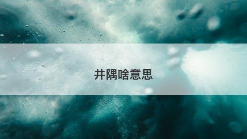 井隅啥意思-图1