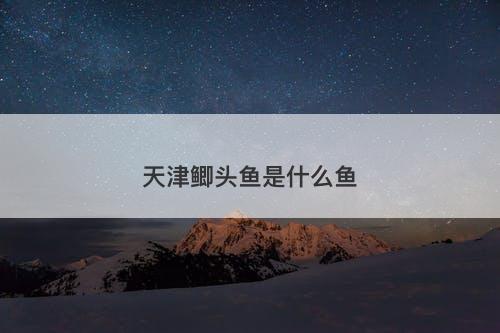 天津鲫头鱼是什么鱼-图1 天津鲫头鱼是什么鱼-图1