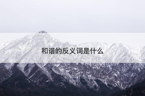 和谐的反义词是什么-图1 和谐的反义词是什么-图1