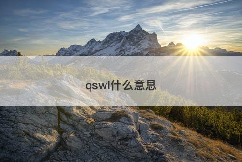 qswl什么意思-图1 qswl什么意思-图1