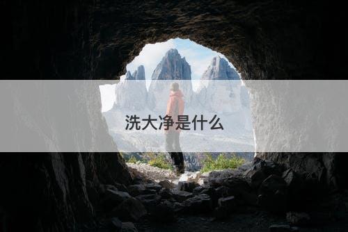 洗大净是什么-图1 洗大净是什么-图1