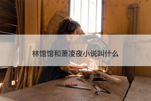 林馆馆和萧凌夜小说叫什么-图1 林馆馆和萧凌夜小说叫什么-图1