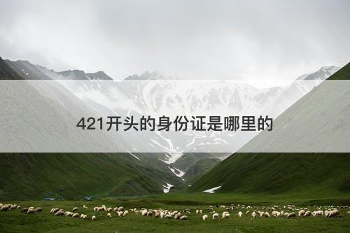 421开头的身份证是哪里的-图1 421开头的身份证是哪里的-图1