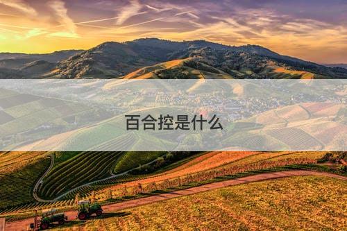 百合控是什么-图1 百合控是什么-图1