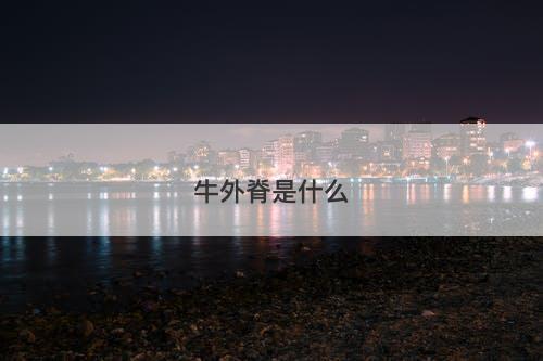 牛外脊是什么-图1