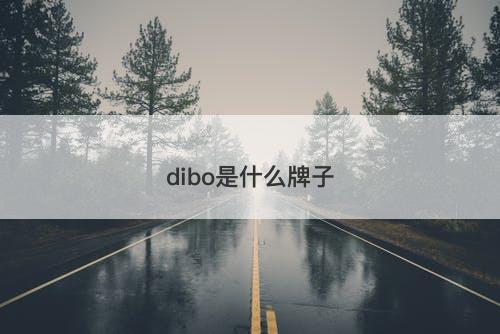 dibo是什么牌子-图1
